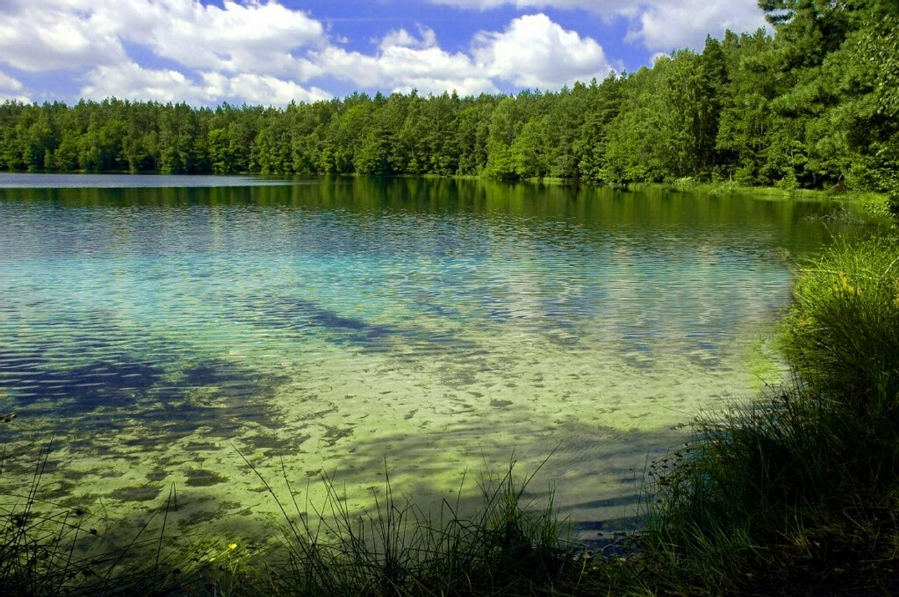 Zdjęcie przedstawiające jezioro Jasne